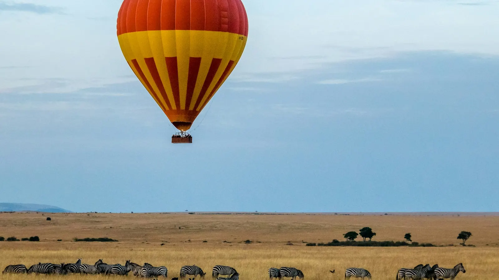 África (Safari)